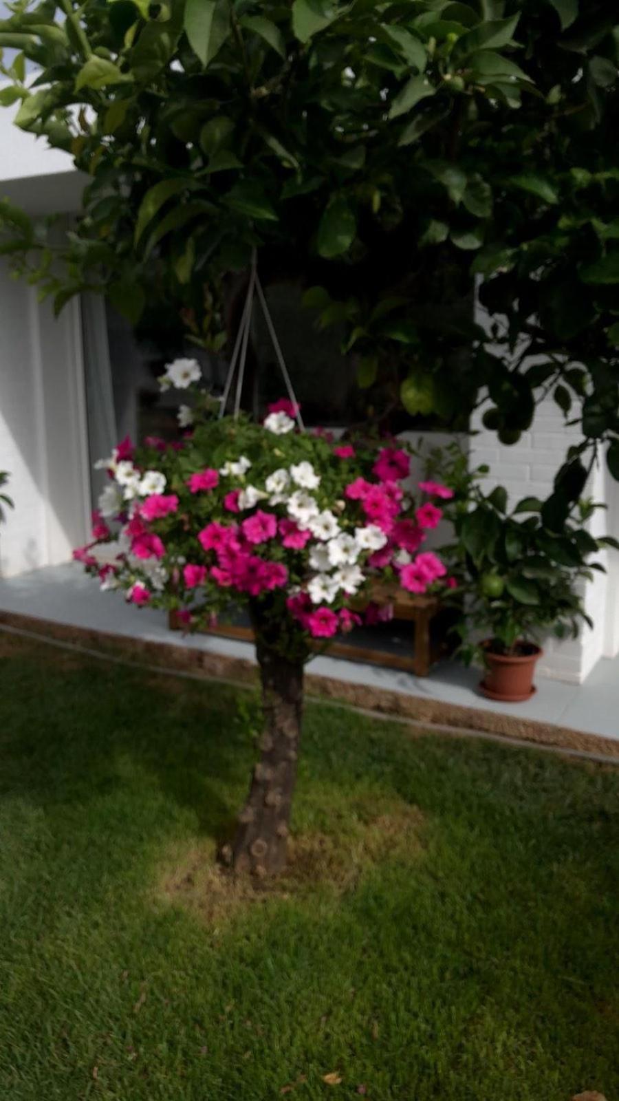 Villa Ribaudo Relax Мондело Екстериор снимка